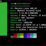 ManjaroLinuxにインストールしたOpenLiteSpeedをsystemctlで管理する